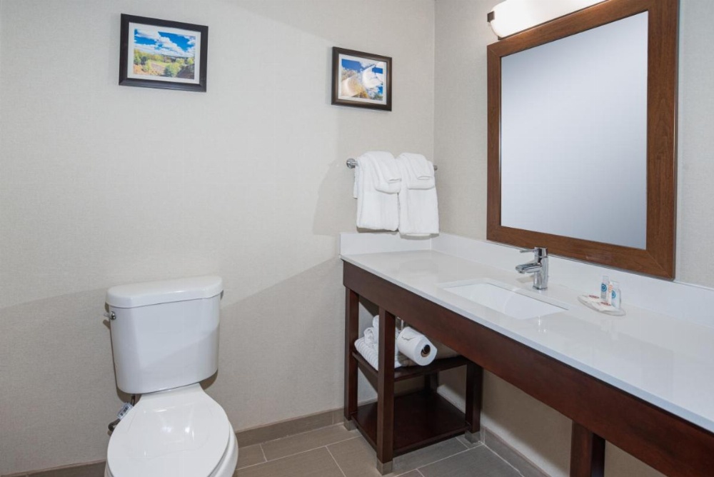 King Suite - Accessible/Non-Smoking